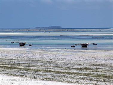 Hotel Dreams of Zanzibar, Hotelstrand, DSC07162b